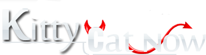Kitty Cat Now Bookings